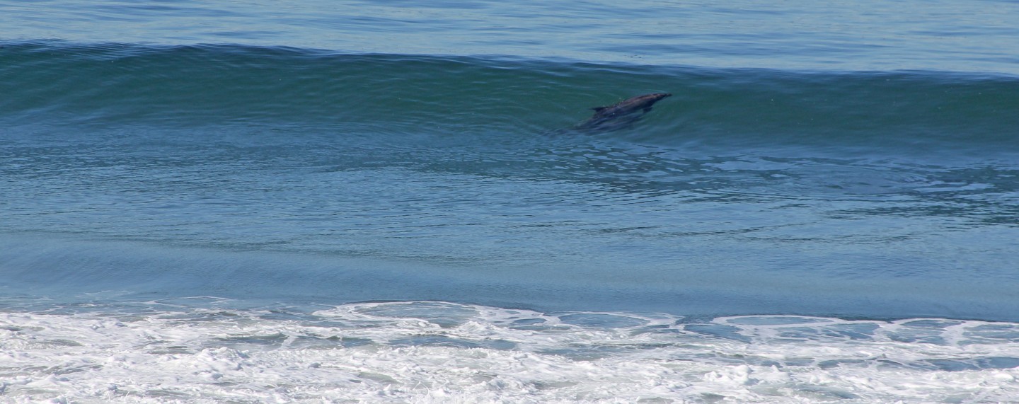Slide Image #1