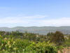 cortinabkyardmountinview066