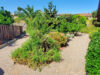 sansalvadorsideyardlow